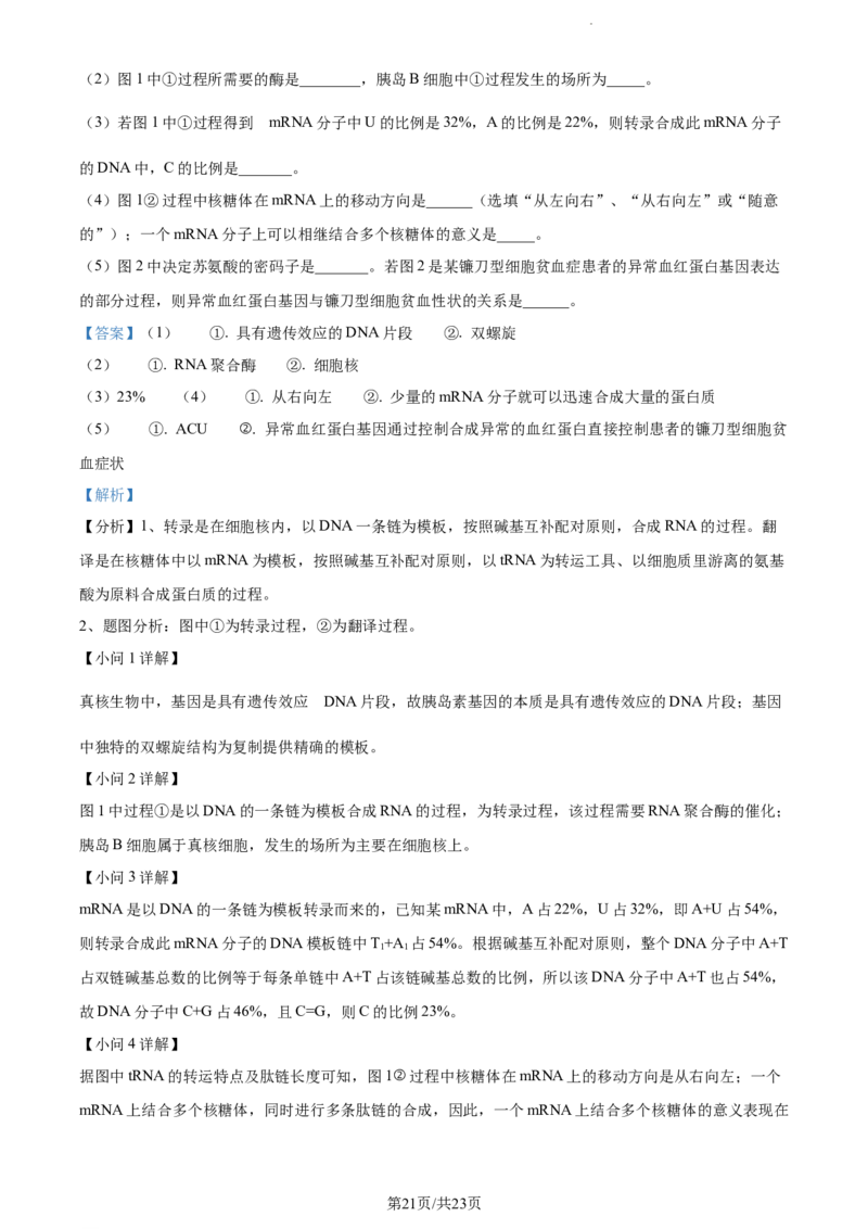 精品解析：辽宁省丹东市2023-2024学年高三11月阶段测试生物试题（解析版）(1)_2023年11月_0211月合集_2024届辽宁省丹东市高三11月总复习阶段测试