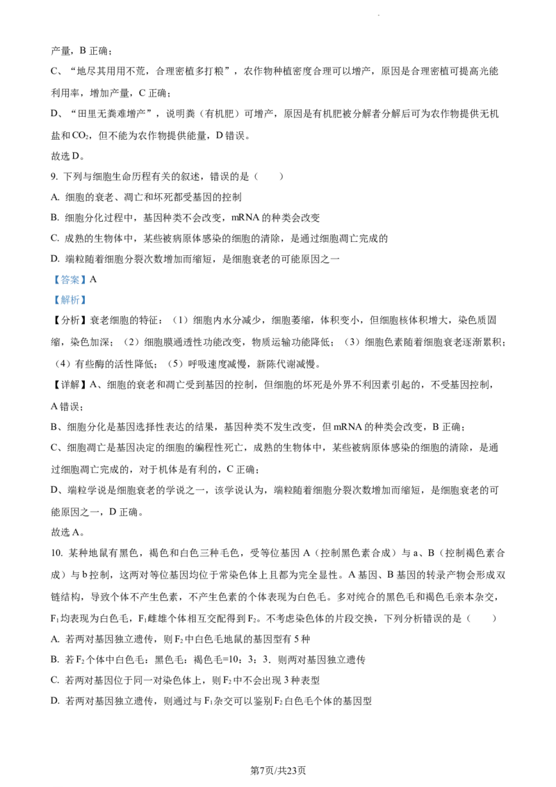 精品解析：辽宁省丹东市2023-2024学年高三11月阶段测试生物试题（解析版）(1)_2023年11月_0211月合集_2024届辽宁省丹东市高三11月总复习阶段测试
