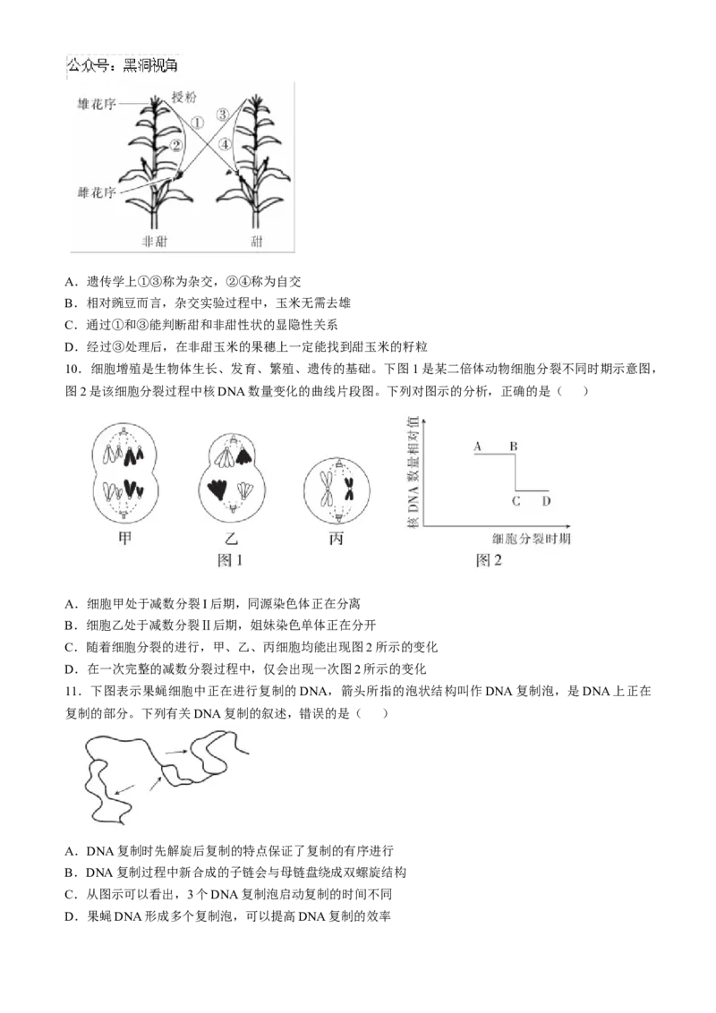 江西省多校联考2024-2025学年高三上学期期中考试生物试题（含解析）_2024-2025高三（6-6月题库）_2024年11月试卷_1108江西省上进联考2024-2025学年高三上学期11月期中调研测试