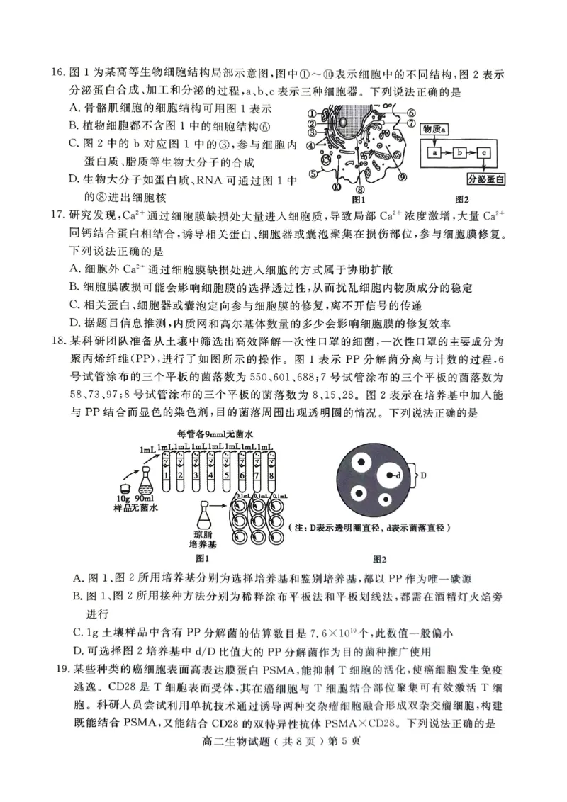 山东省聊城市2023-2024学年高二下学期期末教学质量抽测考试+生物_2024-2025高二（7-7月题库）_2024年07月试卷_0722山东省聊城市2023-2024学年高二下学期期末教学质量抽测考试