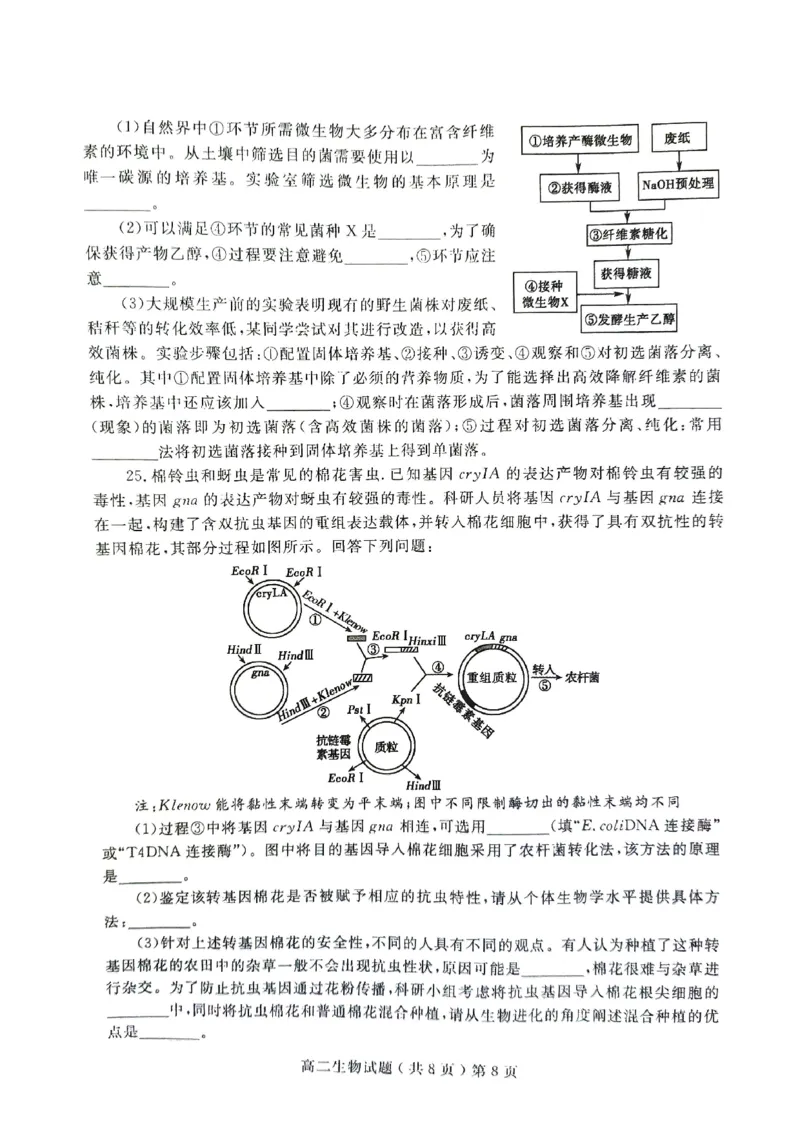山东省聊城市2023-2024学年高二下学期期末教学质量抽测考试+生物_2024-2025高二（7-7月题库）_2024年07月试卷_0722山东省聊城市2023-2024学年高二下学期期末教学质量抽测考试