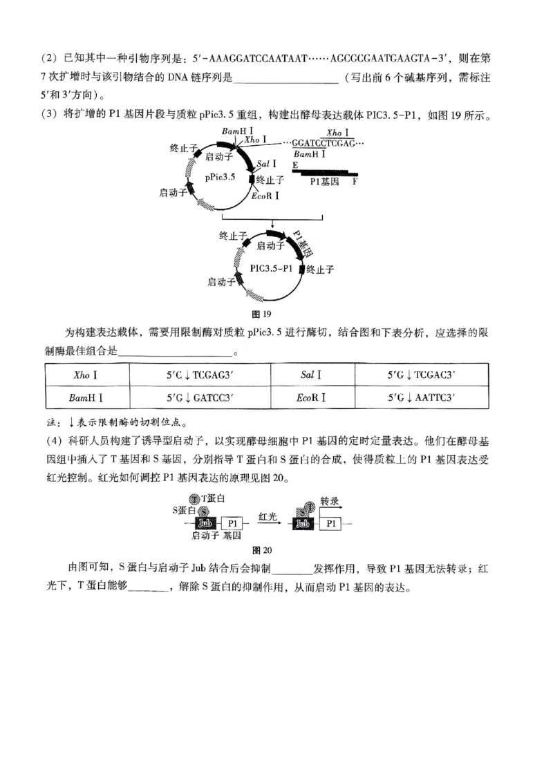 巴蜀中学2025届高考适应性月考卷（五）生物_2024-2025高三（6-6月题库）_2025年02月试卷_0217重庆市巴蜀中学高2025届2月适应性月考（五）（全科）
