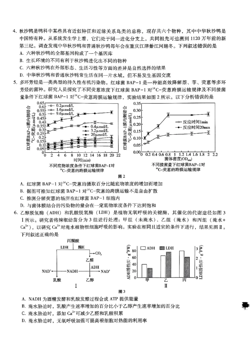 巴蜀中学2025届高考适应性月考卷（五）生物_2024-2025高三（6-6月题库）_2025年02月试卷_0217重庆市巴蜀中学高2025届2月适应性月考（五）（全科）
