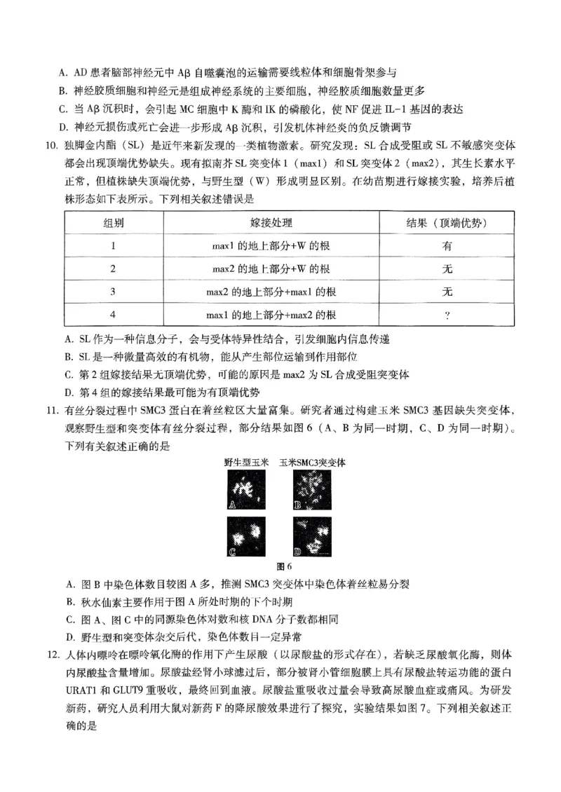 巴蜀中学2025届高考适应性月考卷（五）生物_2024-2025高三（6-6月题库）_2025年02月试卷_0217重庆市巴蜀中学高2025届2月适应性月考（五）（全科）