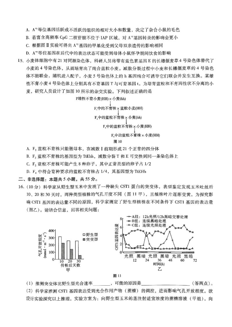 巴蜀中学2025届高考适应性月考卷（五）生物_2024-2025高三（6-6月题库）_2025年02月试卷_0217重庆市巴蜀中学高2025届2月适应性月考（五）（全科）