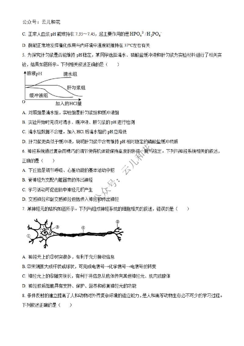 河北省邢台市2024-2025学年高二上学期第一次月考生物试题Word版无答案_2024-2025高二（7-7月题库）_2024年12月试卷_1227河北省邢台市2024-2025学年高二上学期第一次月考