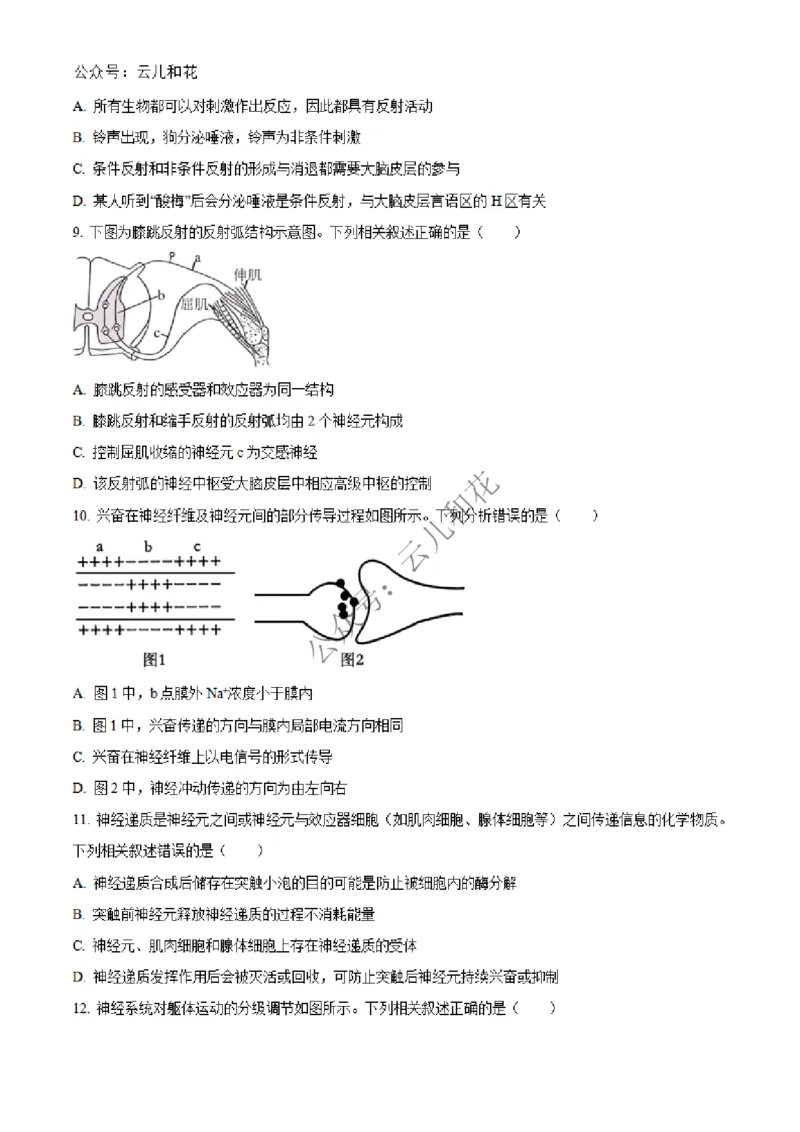 河北省邢台市2024-2025学年高二上学期第一次月考生物试题Word版无答案_2024-2025高二（7-7月题库）_2024年12月试卷_1227河北省邢台市2024-2025学年高二上学期第一次月考