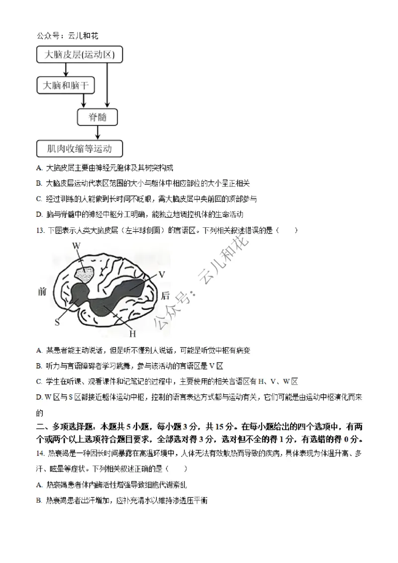 河北省邢台市2024-2025学年高二上学期第一次月考生物试题Word版无答案_2024-2025高二（7-7月题库）_2024年12月试卷_1227河北省邢台市2024-2025学年高二上学期第一次月考