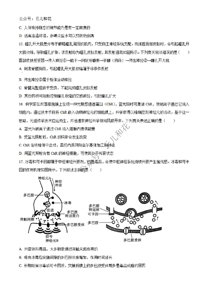 河北省邢台市2024-2025学年高二上学期第一次月考生物试题Word版无答案_2024-2025高二（7-7月题库）_2024年12月试卷_1227河北省邢台市2024-2025学年高二上学期第一次月考