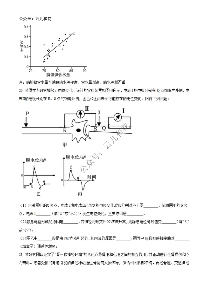 河北省邢台市2024-2025学年高二上学期第一次月考生物试题Word版无答案_2024-2025高二（7-7月题库）_2024年12月试卷_1227河北省邢台市2024-2025学年高二上学期第一次月考