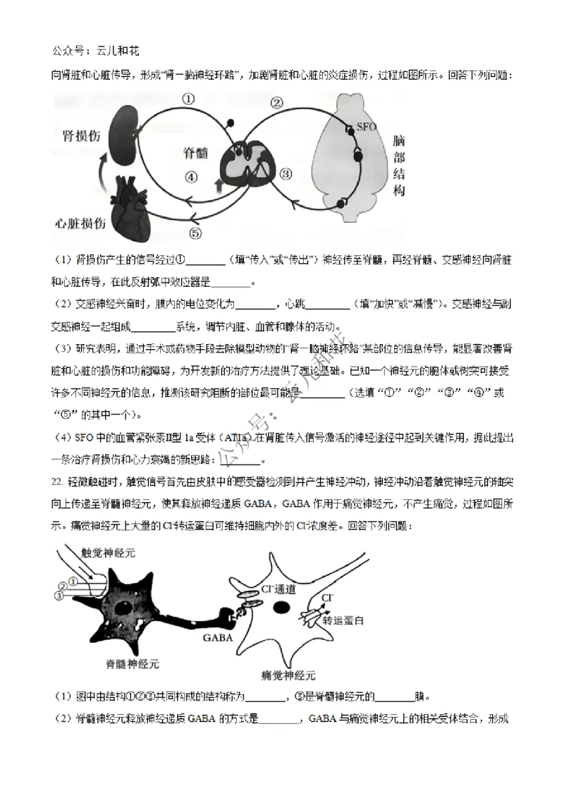 河北省邢台市2024-2025学年高二上学期第一次月考生物试题Word版无答案_2024-2025高二（7-7月题库）_2024年12月试卷_1227河北省邢台市2024-2025学年高二上学期第一次月考