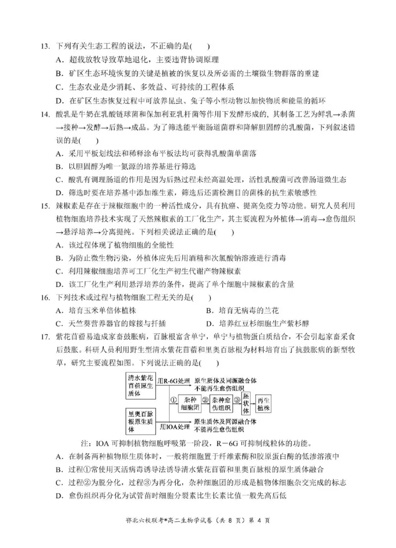 湖北省鄂北六校2024-2025学年高二下学期期中联考试题生物PDF版含答案_2024-2025高二（7-7月题库）_2025年04月试卷(1)_0426湖北省鄂北六校2024-2025学年高二下学期期中联考