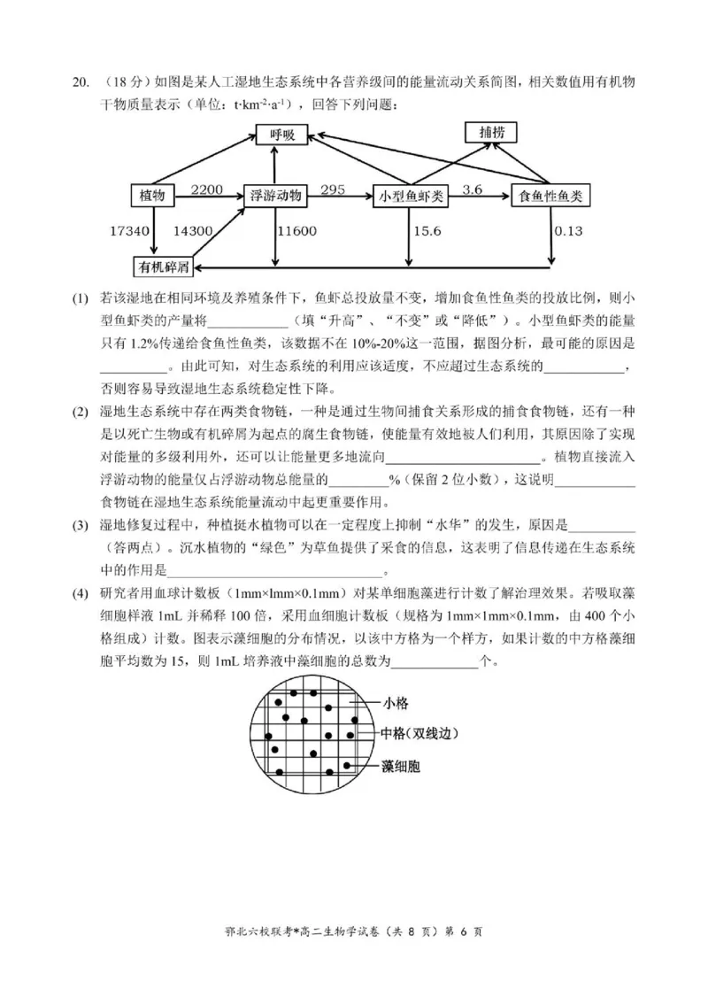 湖北省鄂北六校2024-2025学年高二下学期期中联考试题生物PDF版含答案_2024-2025高二（7-7月题库）_2025年04月试卷(1)_0426湖北省鄂北六校2024-2025学年高二下学期期中联考