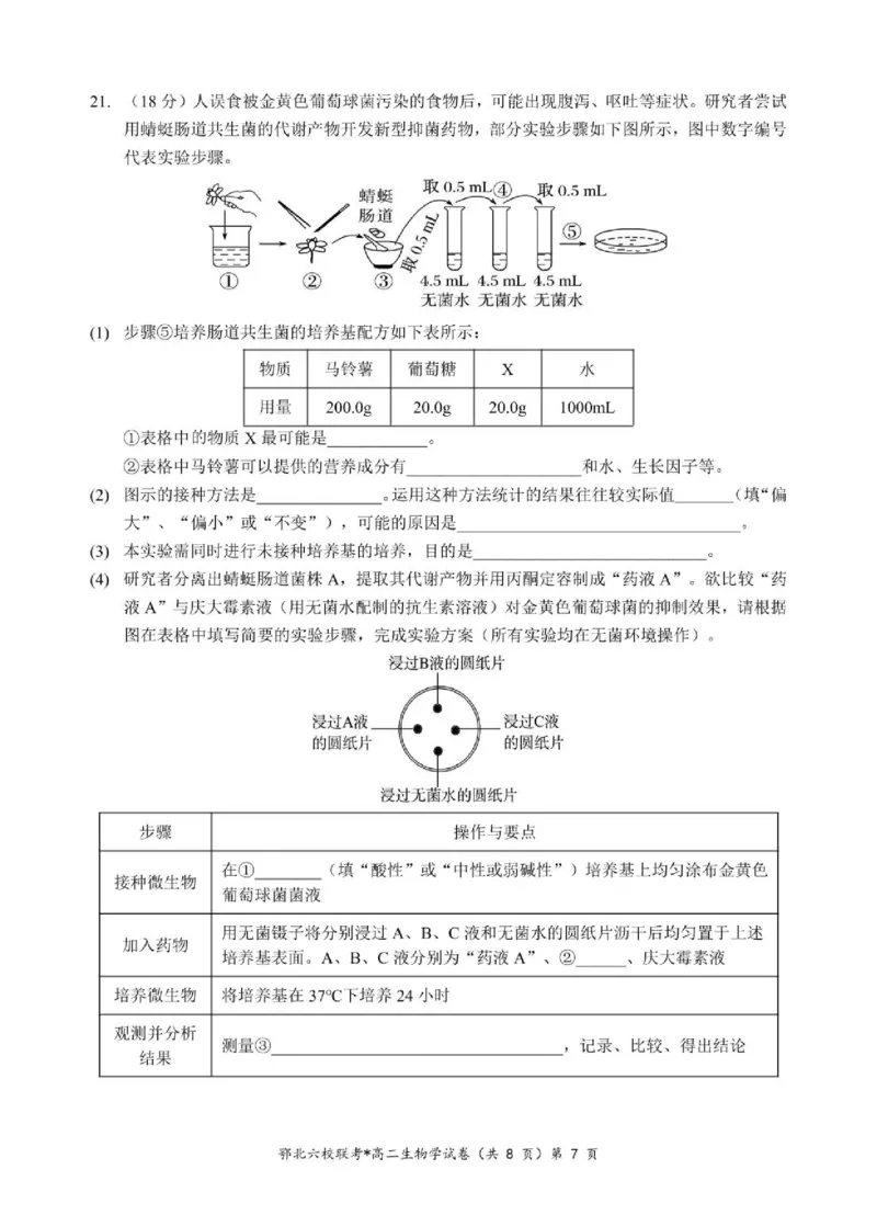 湖北省鄂北六校2024-2025学年高二下学期期中联考试题生物PDF版含答案_2024-2025高二（7-7月题库）_2025年04月试卷(1)_0426湖北省鄂北六校2024-2025学年高二下学期期中联考
