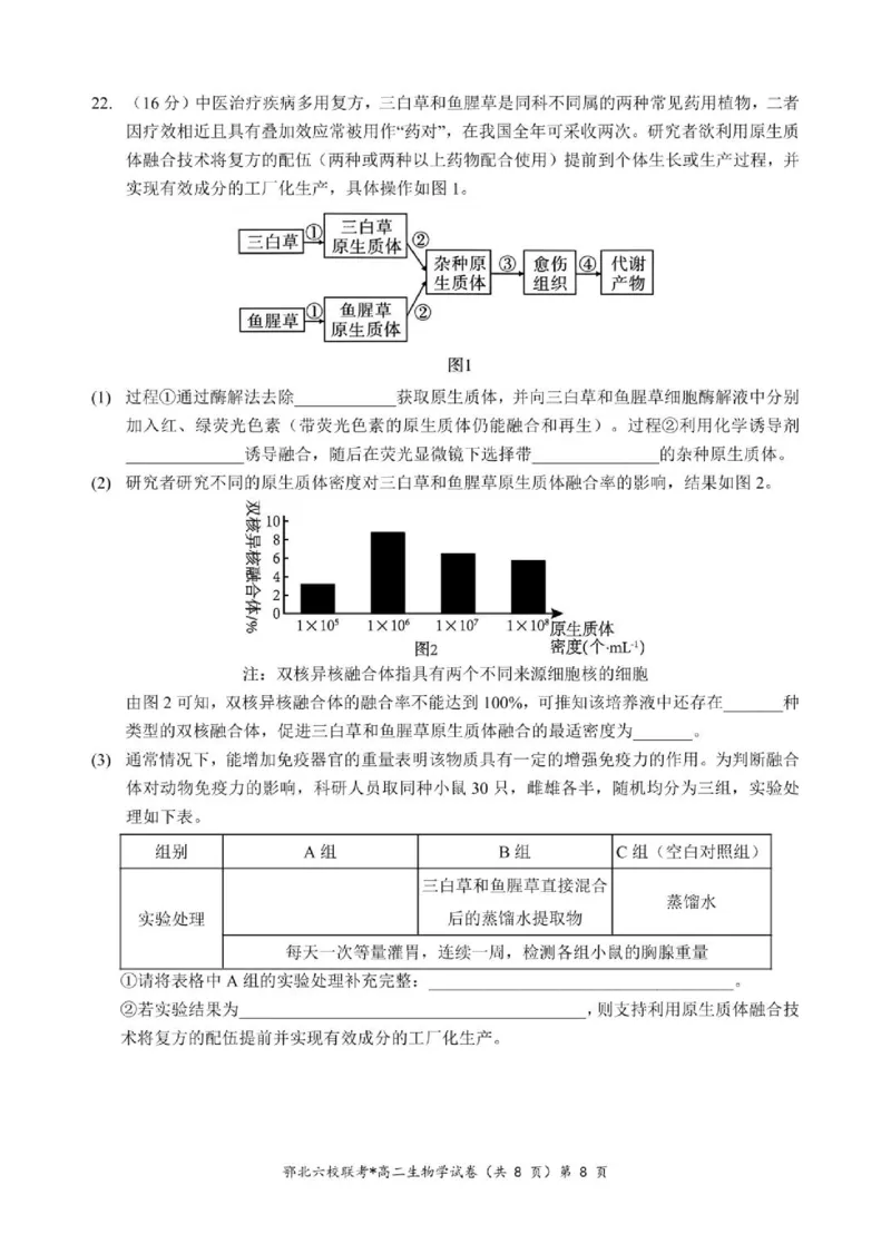 湖北省鄂北六校2024-2025学年高二下学期期中联考试题生物PDF版含答案_2024-2025高二（7-7月题库）_2025年04月试卷(1)_0426湖北省鄂北六校2024-2025学年高二下学期期中联考