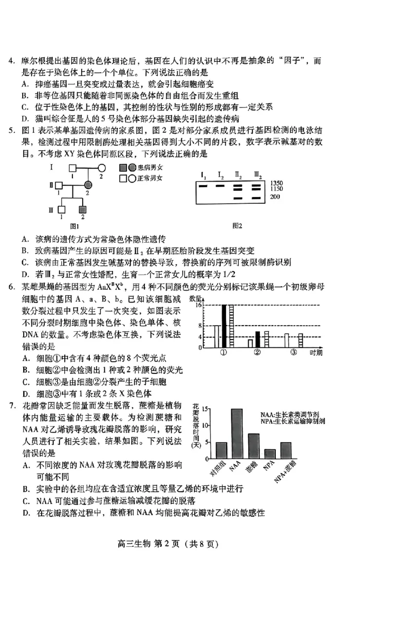 山东省潍坊市2025届高三开学调研监测考试生物+答案_2024-2025高三（6-6月题库）_2024年09月试卷_0905山东省潍坊市2025届高三开学调研监测考试
