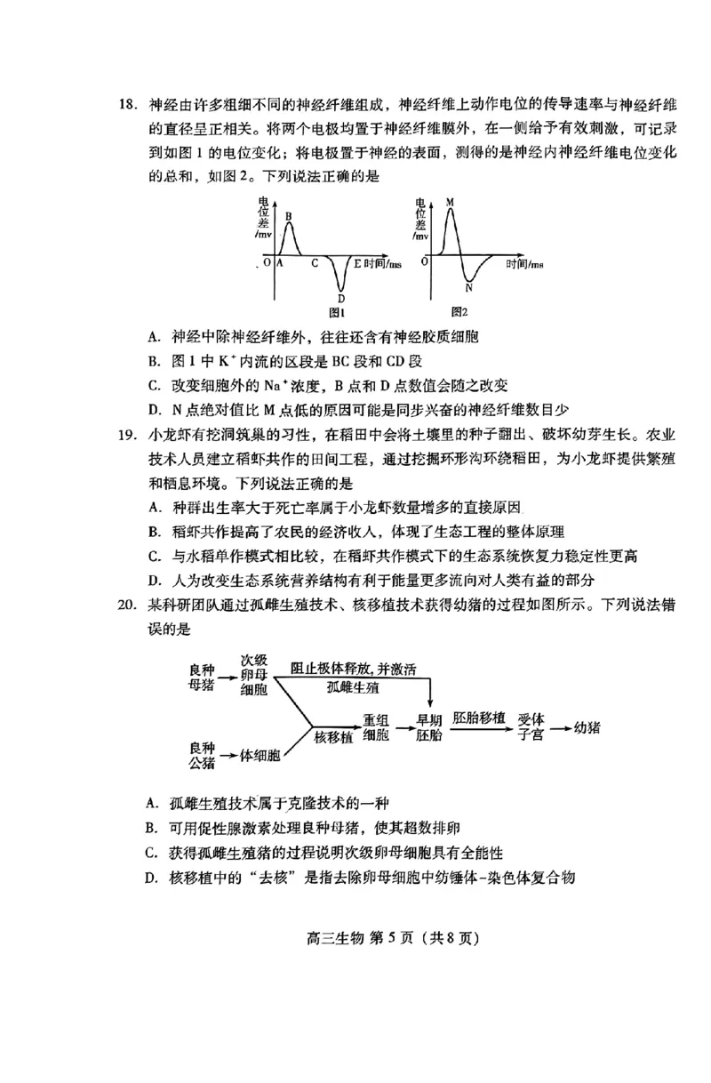 山东省潍坊市2025届高三开学调研监测考试生物+答案_2024-2025高三（6-6月题库）_2024年09月试卷_0905山东省潍坊市2025届高三开学调研监测考试
