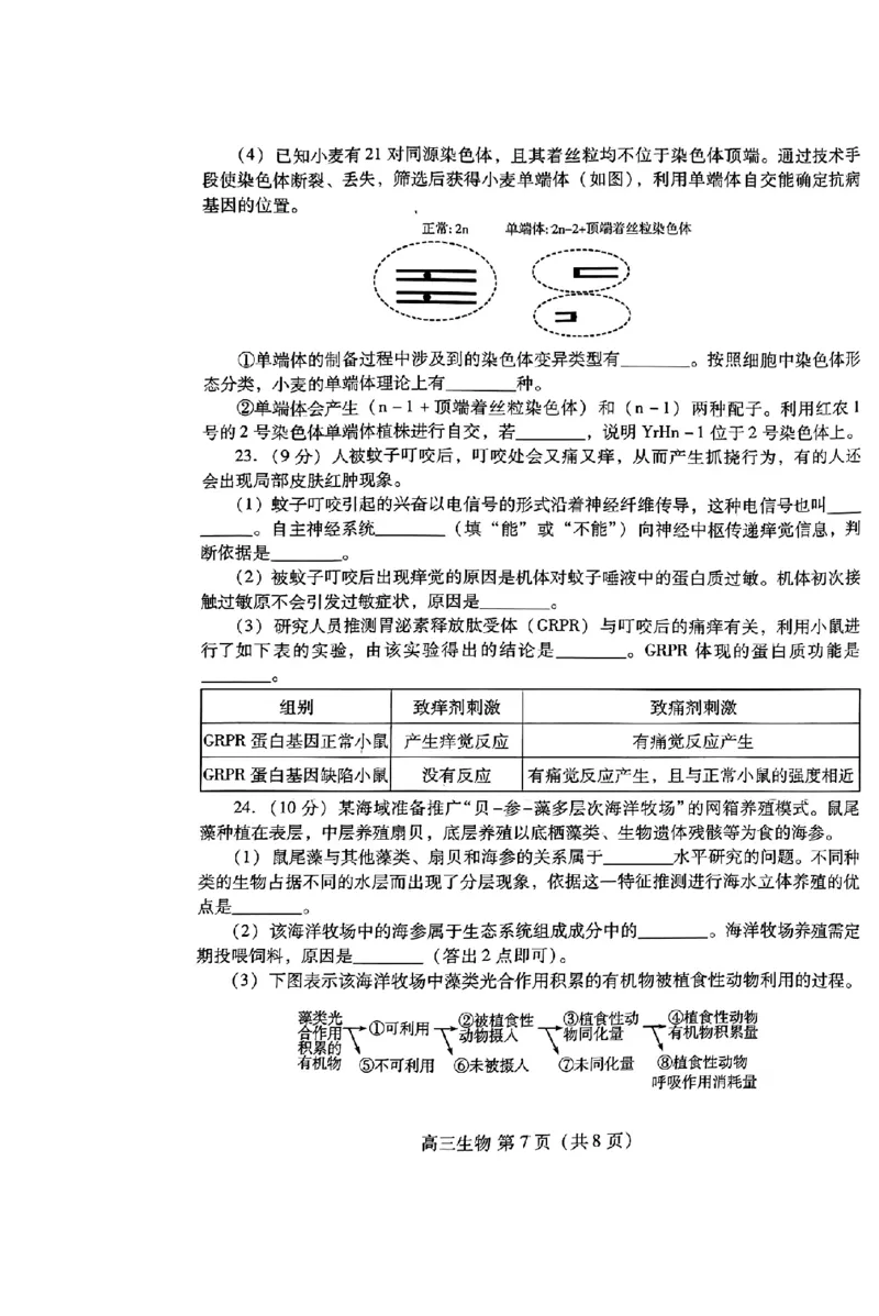 山东省潍坊市2025届高三开学调研监测考试生物+答案_2024-2025高三（6-6月题库）_2024年09月试卷_0905山东省潍坊市2025届高三开学调研监测考试