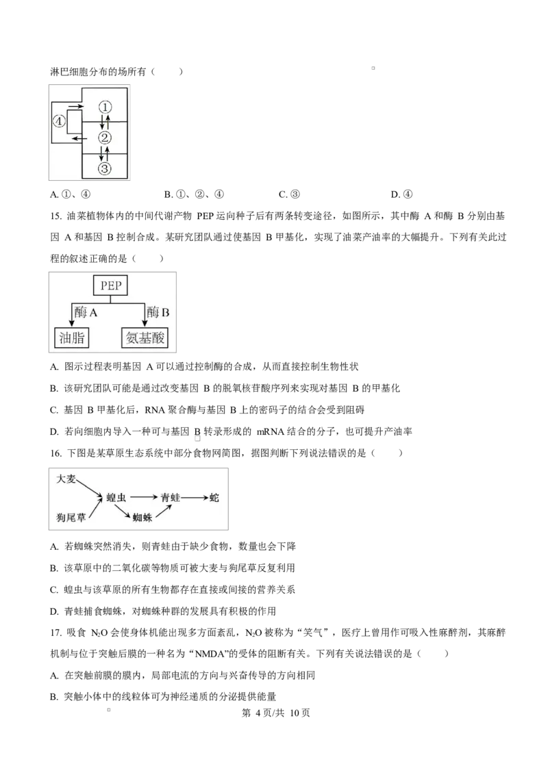 浙江省宁波市奉化区2024-2025学年高二上学期期末生物试卷Word版无答案_2024-2025高二（7-7月题库）_2025年02月试卷_0228浙江省宁波市奉化区2024-2025学年高二上学期期末联考试题