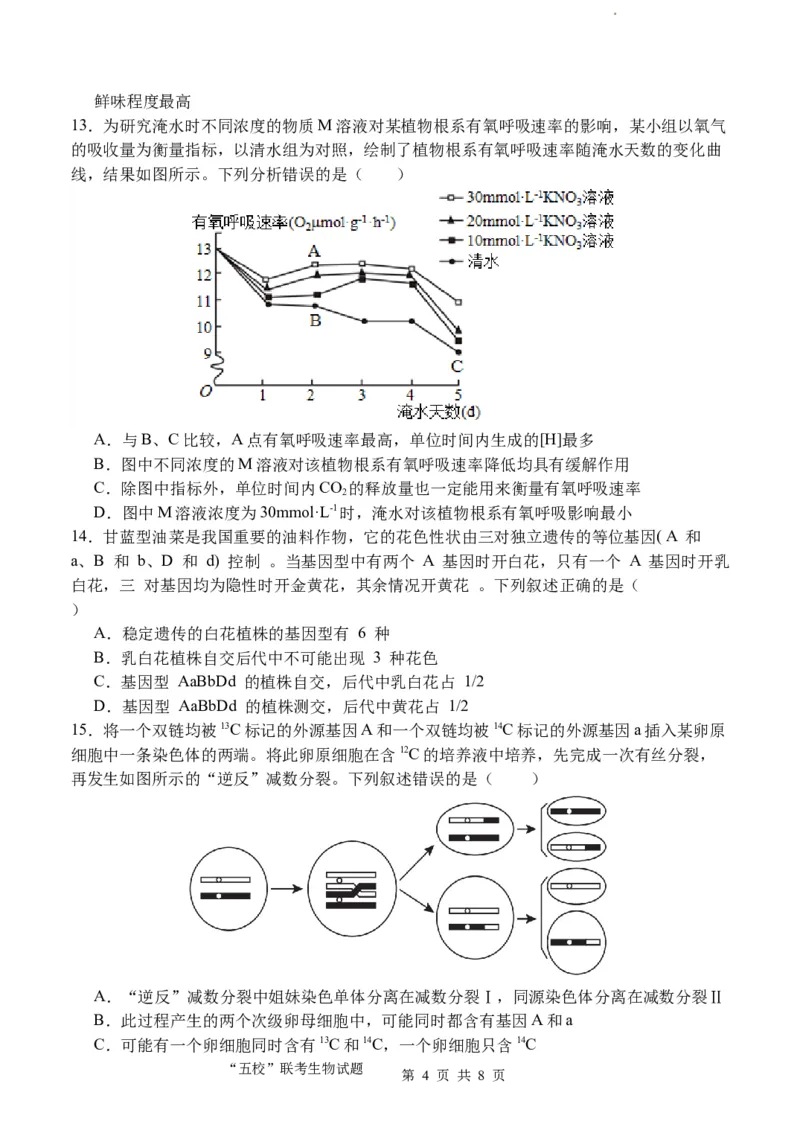 福建省&ldquo;宁化、永安、尤溪、大田、沙县一中&rdquo;五校协作2023-2024学年高三上学期11月联考生物(1)_2023年11月_0211月合集_2024届福建省高三上学期五校协作期中联考