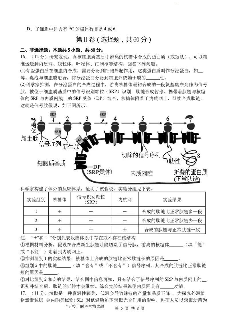 福建省&ldquo;宁化、永安、尤溪、大田、沙县一中&rdquo;五校协作2023-2024学年高三上学期11月联考生物(1)_2023年11月_0211月合集_2024届福建省高三上学期五校协作期中联考