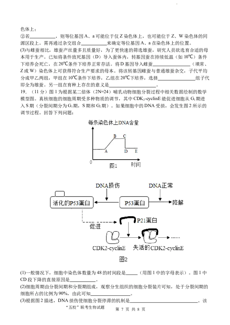 福建省&ldquo;宁化、永安、尤溪、大田、沙县一中&rdquo;五校协作2023-2024学年高三上学期11月联考生物(1)_2023年11月_0211月合集_2024届福建省高三上学期五校协作期中联考