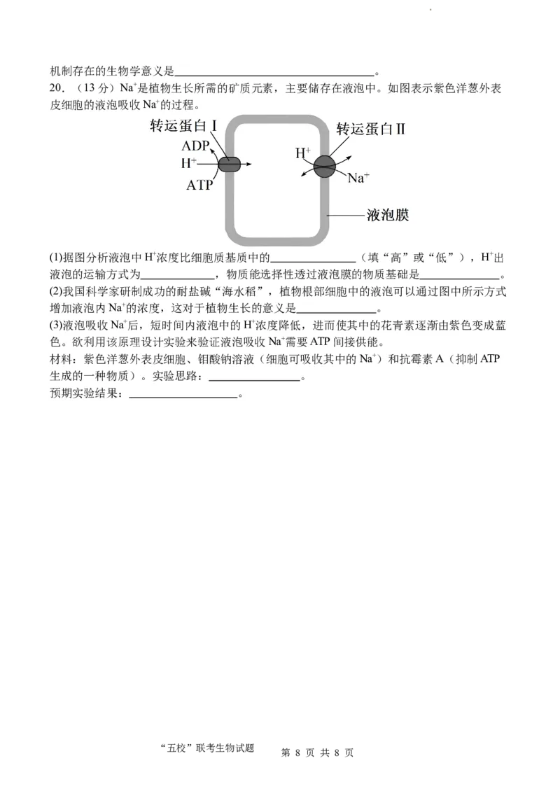 福建省&ldquo;宁化、永安、尤溪、大田、沙县一中&rdquo;五校协作2023-2024学年高三上学期11月联考生物(1)_2023年11月_0211月合集_2024届福建省高三上学期五校协作期中联考