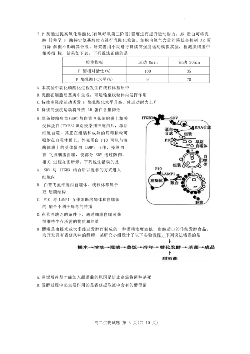 山东省滨州市2023-2024学年高二下学期7月期末教学质量检测生物试题卷_2024-2025高二（7-7月题库）_2024年07月试卷_0712山东省滨州市2023-2024学年高二下学期7月期末教学质量检测