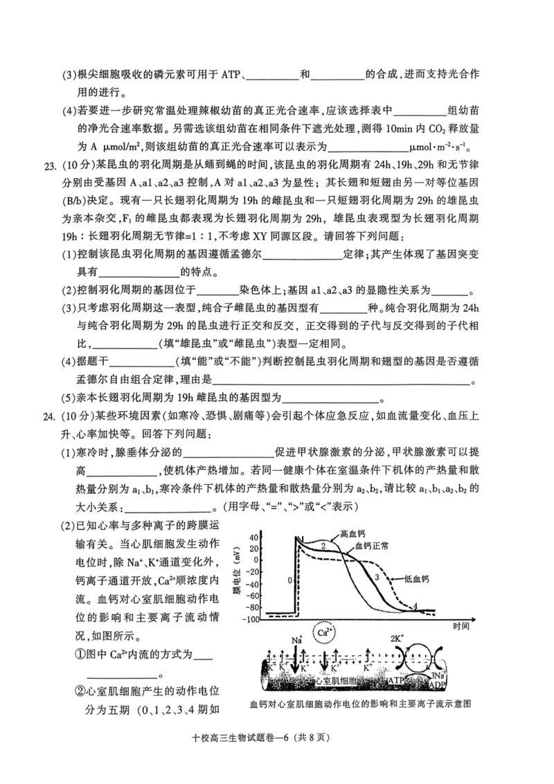 金华十校2023年11月高三模拟考试生物卷子(1)_2023年11月_0211月合集_2024届浙江省金华十校高三上学期11月模拟考试_浙江省金华十校2024届高三上学期11月模拟考试生物