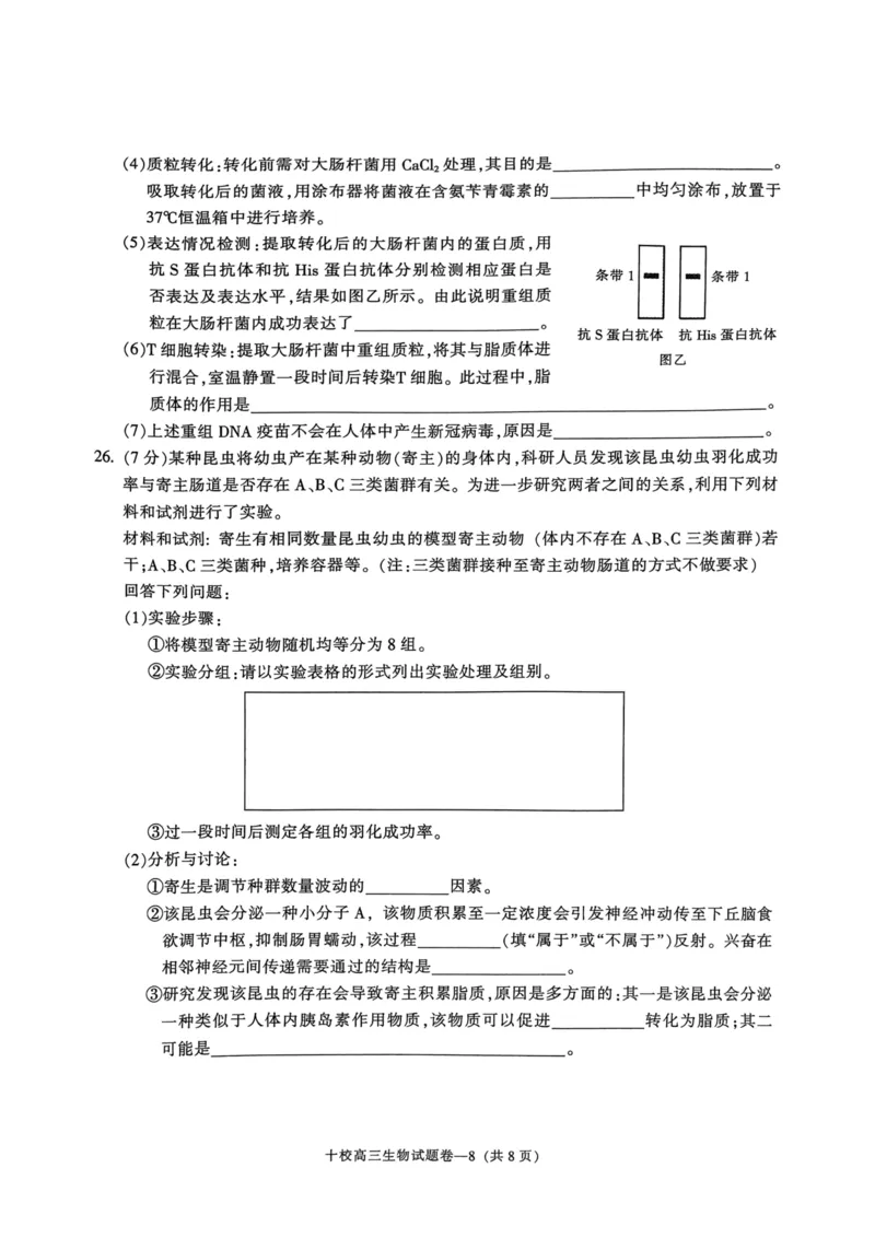 金华十校2023年11月高三模拟考试生物卷子(1)_2023年11月_0211月合集_2024届浙江省金华十校高三上学期11月模拟考试_浙江省金华十校2024届高三上学期11月模拟考试生物