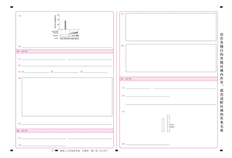 北京市2024-2025学年高三上学期入学定位考试生物答题卡_2024-2025高三（6-6月题库）_2024年09月试卷_0909北京市2024-2025学年高三上学期入学定位考试