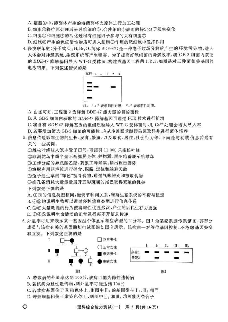 衡水名师卷&middot;2023-2024高考模拟压轴卷(一)理综含解析(1)_2024年5月_025月合集_2024届衡水名师卷&middot;高考模拟压轴卷（一）