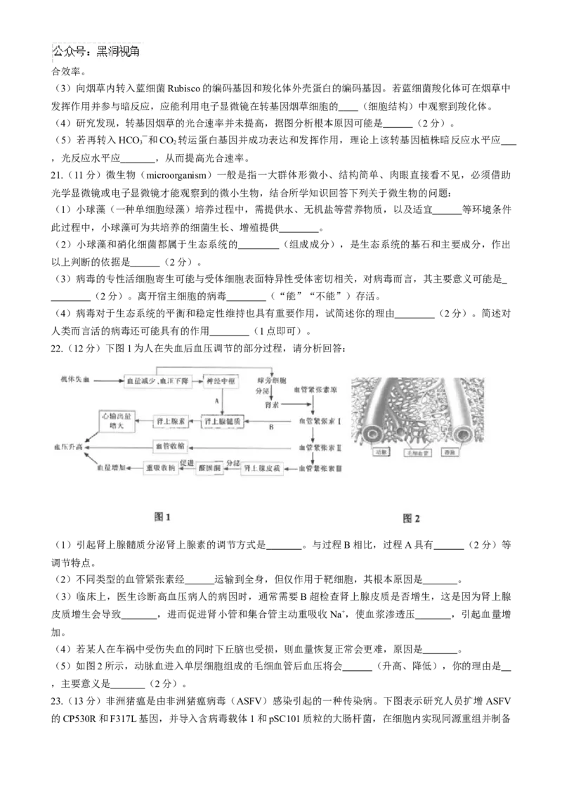 江苏省海安高级中学2024-2025学年高三上学期9月月考生物试题（有答案）_2024-2025高三（6-6月题库）_2024年09月试卷_0913江苏省南通市海安高级中学2024-2025学年高三上学期9月月考