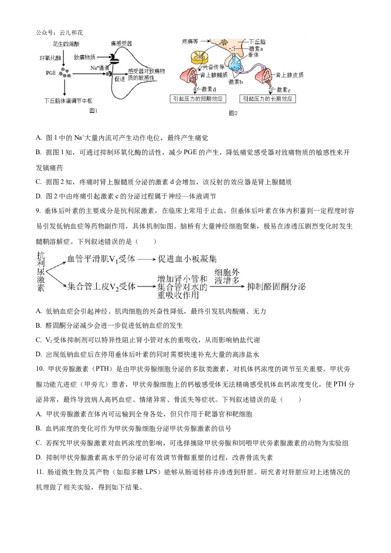 湖南师范大学附属中学2024-2025学年高二上学期第一次月考生物试卷Word版无答案_2024-2025高二（7-7月题库）_2024年10月试卷_1028湖南省长沙市师大附中2024-2025学年高二上学期10月月考