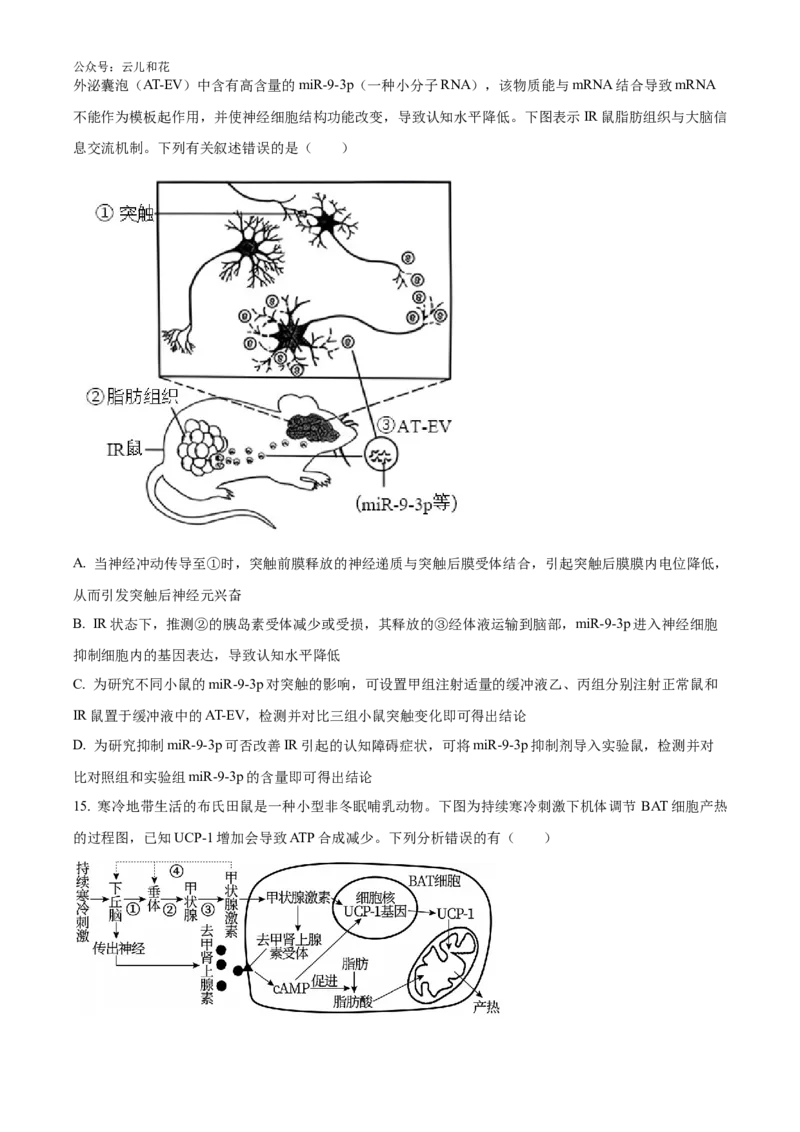 湖南师范大学附属中学2024-2025学年高二上学期第一次月考生物试卷Word版无答案_2024-2025高二（7-7月题库）_2024年10月试卷_1028湖南省长沙市师大附中2024-2025学年高二上学期10月月考