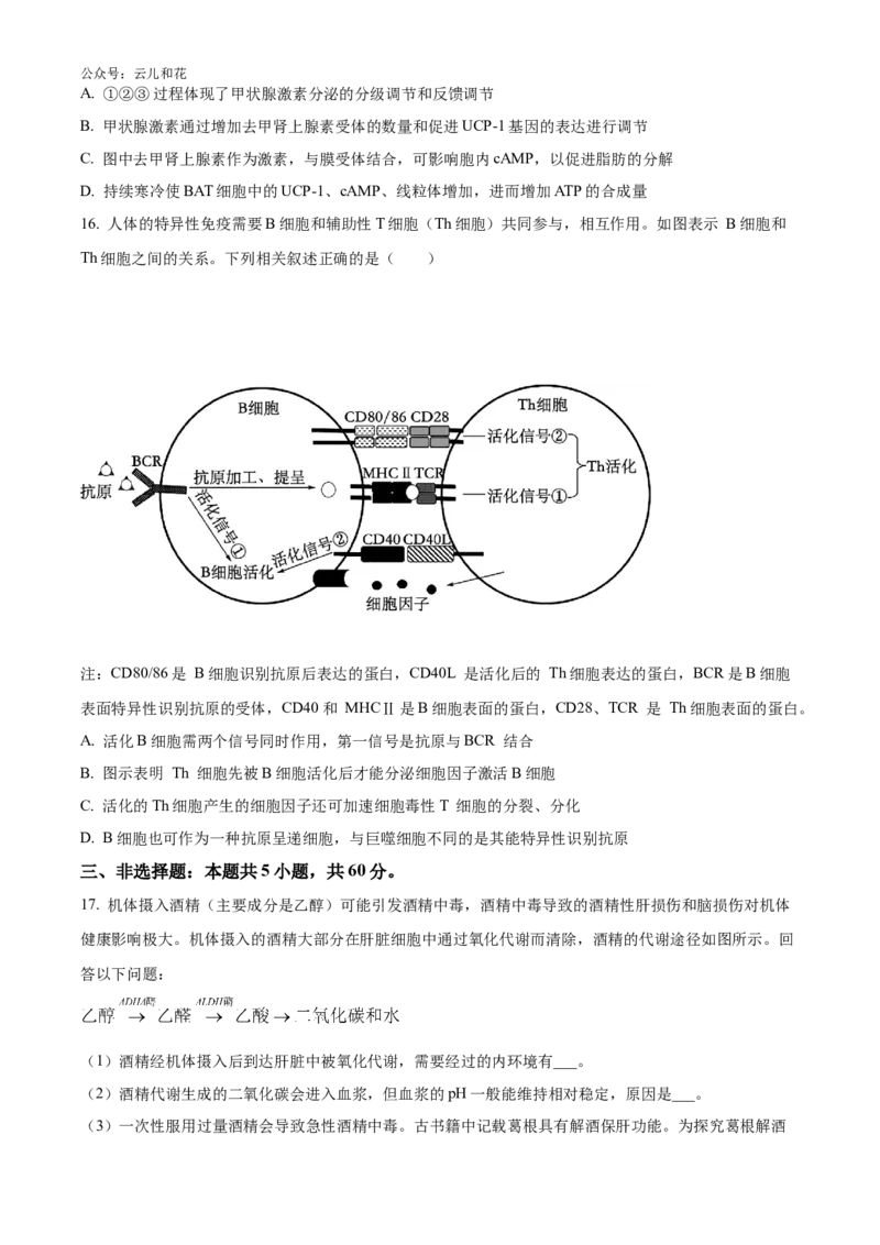 湖南师范大学附属中学2024-2025学年高二上学期第一次月考生物试卷Word版无答案_2024-2025高二（7-7月题库）_2024年10月试卷_1028湖南省长沙市师大附中2024-2025学年高二上学期10月月考