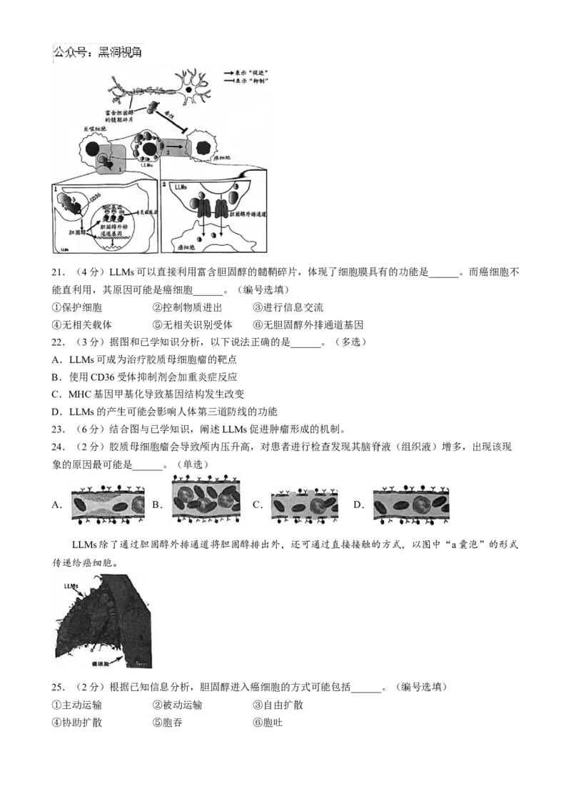 上海市奉贤区2024-2025学年高三上学期一模生物学试题（含答案）_2024-2025高三（6-6月题库）_2024年12月试卷_1217上海市奉贤区2025届高三上学期一模