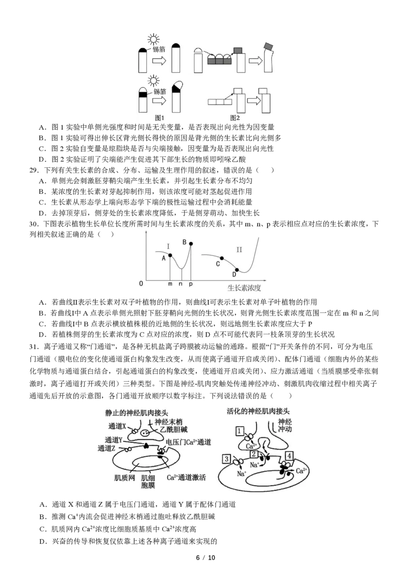四川省成都市第七中学2024-2025学年高二上学期11月期中考试生物PDF版含解析（可编辑）_2024-2025高二（7-7月题库）_2024年11月试卷