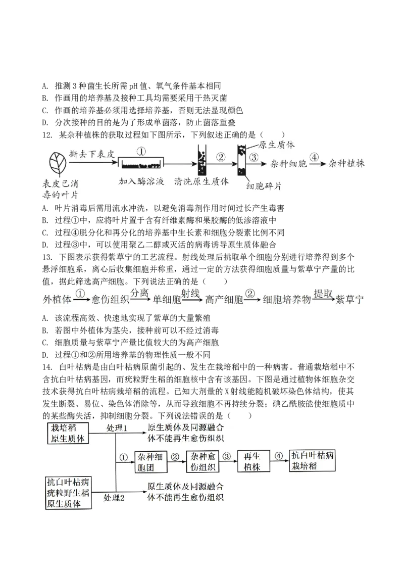 山东省夏津第一中学2024-2025学年下学期第一次月考高二生物试题_2024-2025高二（7-7月题库）_2025年04月试卷(1)_0406山东省德州市夏津第一中学2024-2025学年高二下学期第一次月考