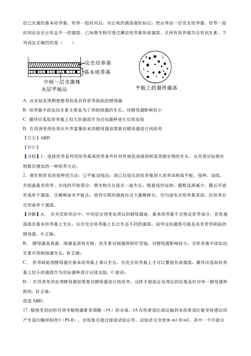 山东省济宁育才中学2024-2025学年高二下学期开学考试生物试题Word版含解析_2024-2025高二（7-7月题库）_2025年03月试卷_0304山东省济宁市育才中学2024-2025学年高二下学期开学考试