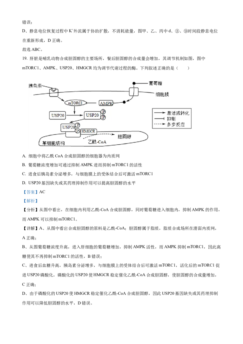 山东省济宁育才中学2024-2025学年高二下学期开学考试生物试题Word版含解析_2024-2025高二（7-7月题库）_2025年03月试卷_0304山东省济宁市育才中学2024-2025学年高二下学期开学考试