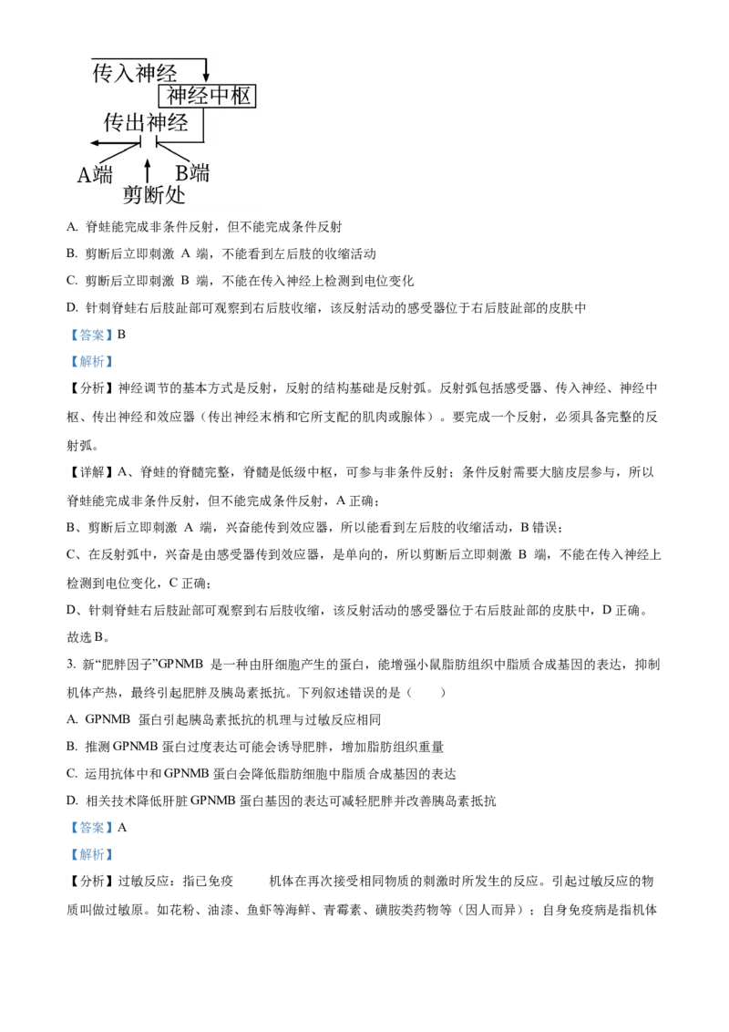 山东省济宁育才中学2024-2025学年高二下学期开学考试生物试题Word版含解析_2024-2025高二（7-7月题库）_2025年03月试卷_0304山东省济宁市育才中学2024-2025学年高二下学期开学考试