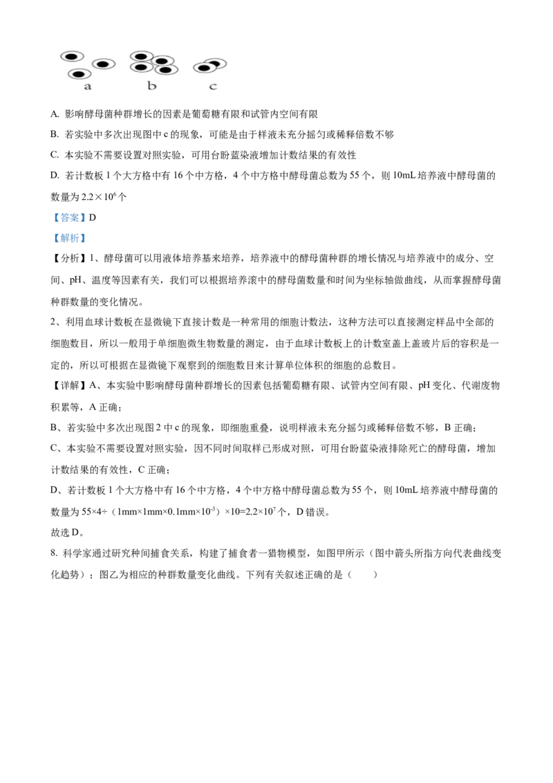 山东省济宁育才中学2024-2025学年高二下学期开学考试生物试题Word版含解析_2024-2025高二（7-7月题库）_2025年03月试卷_0304山东省济宁市育才中学2024-2025学年高二下学期开学考试