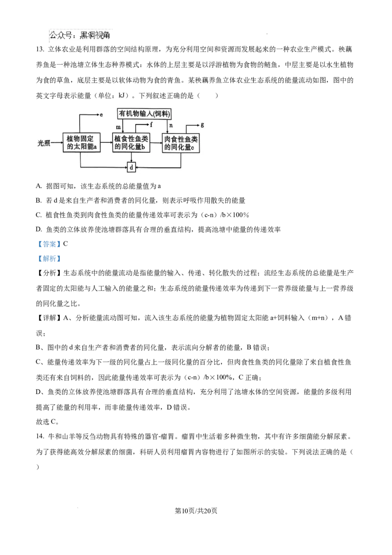 云南省大理白族自治州宾川县高平第一完全中学2024-2025学年高三上学期期中考试生物试题答案_2024-2025高三（6-6月题库）_2024年10月试卷
