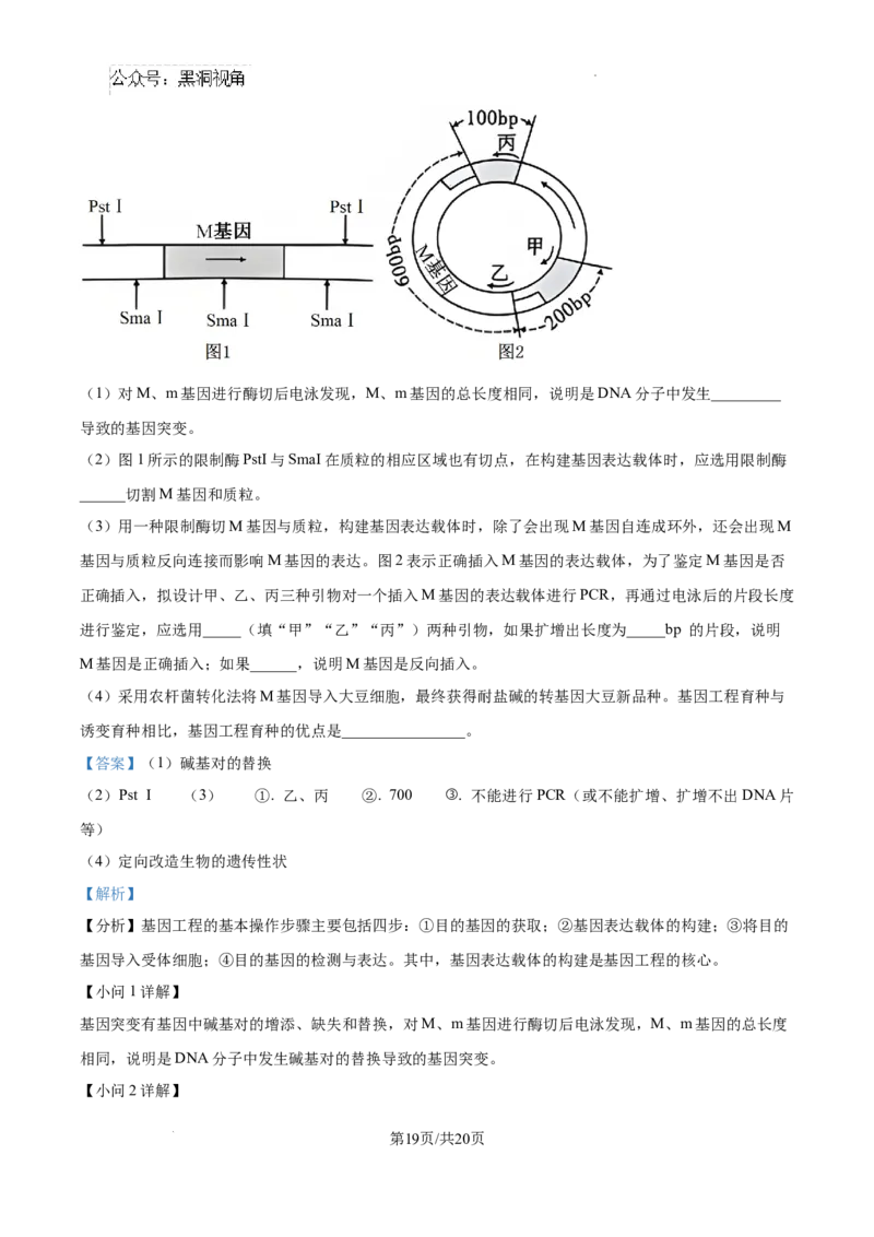 云南省大理白族自治州宾川县高平第一完全中学2024-2025学年高三上学期期中考试生物试题答案_2024-2025高三（6-6月题库）_2024年10月试卷