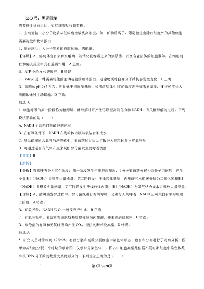 云南省大理白族自治州宾川县高平第一完全中学2024-2025学年高三上学期期中考试生物试题答案_2024-2025高三（6-6月题库）_2024年10月试卷