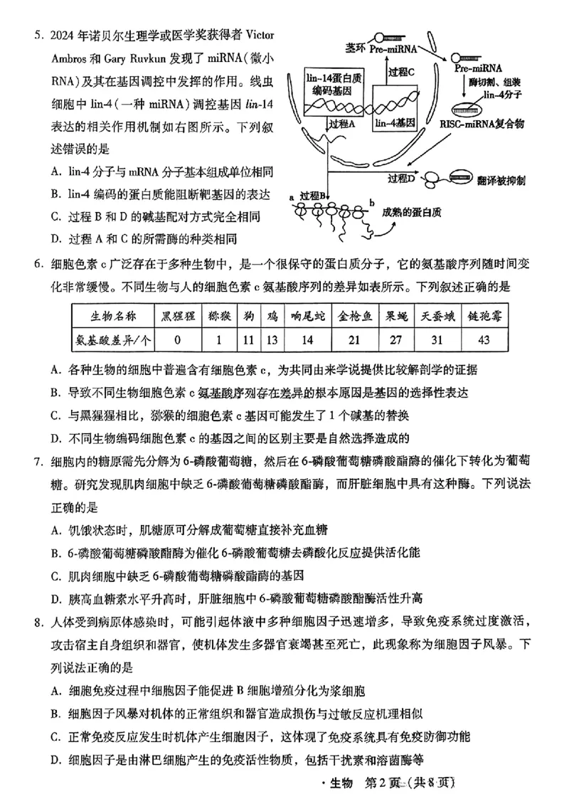 河北省2024-2025学年高三上学期11月阶段调研检测二生物_2024-2025高三（6-6月题库）_2024年11月试卷_1107河北省2024-2025学年高三上学期11月阶段调研检测二