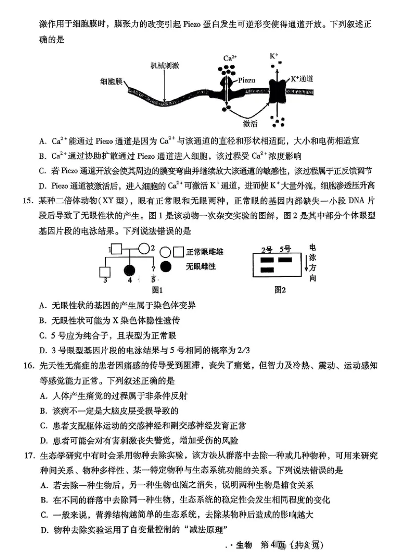 河北省2024-2025学年高三上学期11月阶段调研检测二生物_2024-2025高三（6-6月题库）_2024年11月试卷_1107河北省2024-2025学年高三上学期11月阶段调研检测二