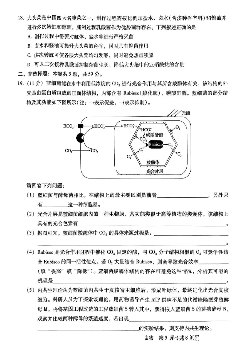 河北省2024-2025学年高三上学期11月阶段调研检测二生物_2024-2025高三（6-6月题库）_2024年11月试卷_1107河北省2024-2025学年高三上学期11月阶段调研检测二