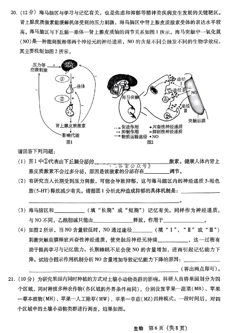 河北省2024-2025学年高三上学期11月阶段调研检测二生物_2024-2025高三（6-6月题库）_2024年11月试卷_1107河北省2024-2025学年高三上学期11月阶段调研检测二
